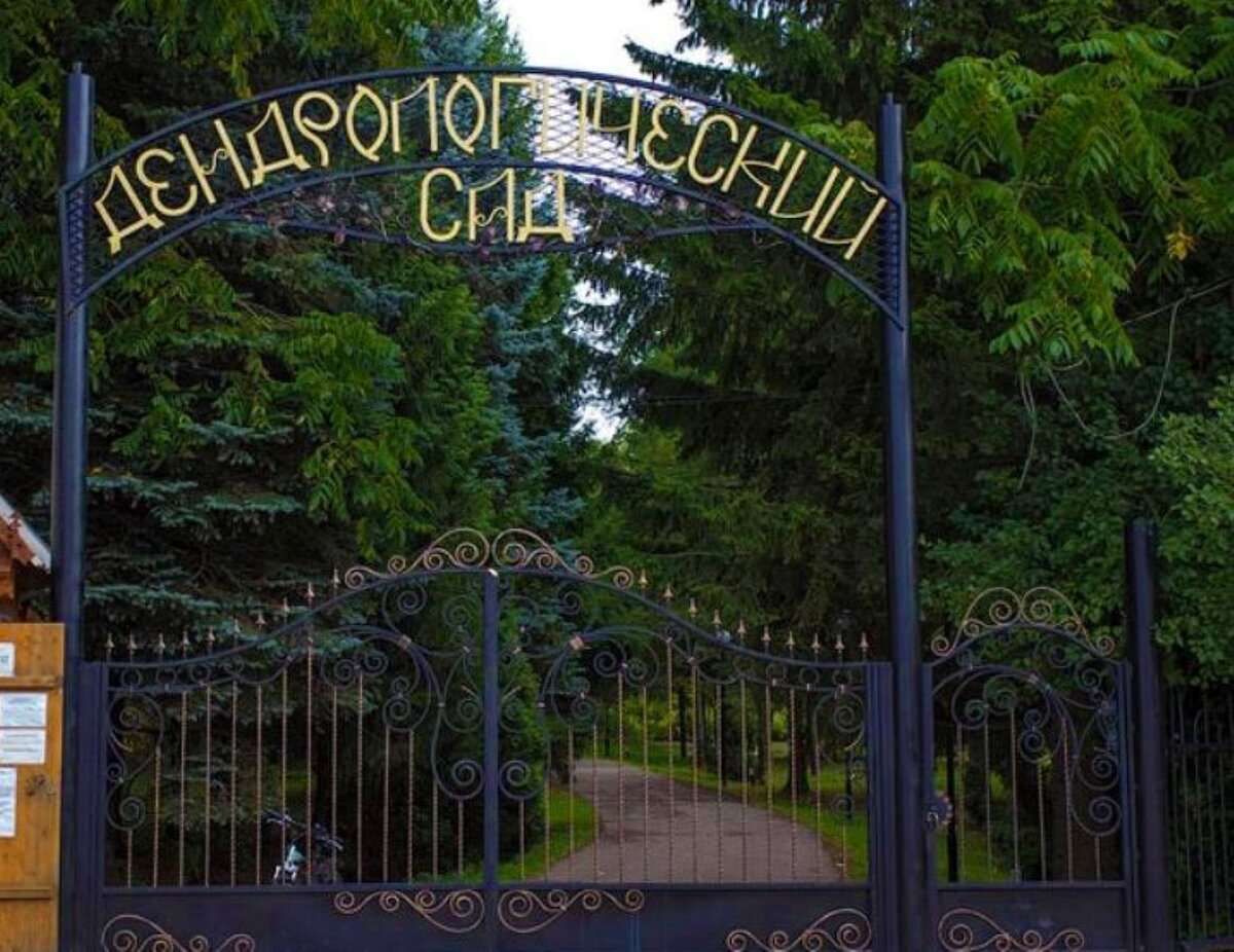 Дендрологический сад им. С.Ф. Харитонова — точка маршрута «Город пятидесяти храмов и одного озера»