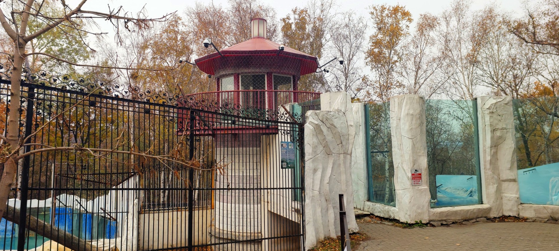 Маяк у белого медведя — точка маршрута «Зоосад Приамурский им. В. П. Сысоева»